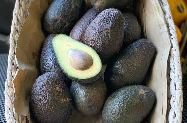 Fresh HASS Avocado Origin Vietnam Grade Premium Export Grade (Class I) Ripeness Stage Mature Green (Ready for Export) - Image 3